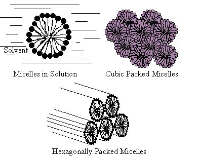 Some of the most common lyotropic phase structures