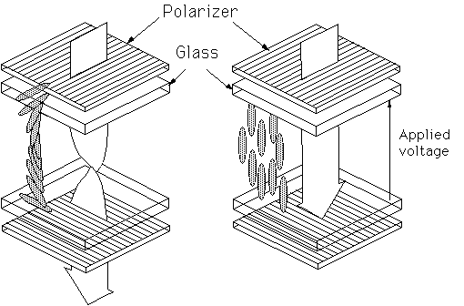 Schematic of a TN device