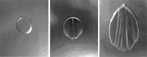 Cavitation in Viscous and non-Newtonian Fluids